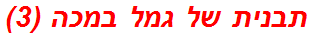 תבנית של גמל במכה (3)