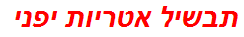 תבשיל אטריות יפני