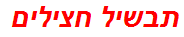 תבשיל חצילים