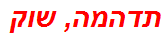 תדהמה, שוק