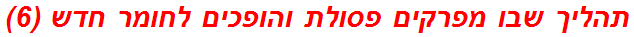 תהליך שבו מפרקים פסולת והופכים לחומר חדש (6)