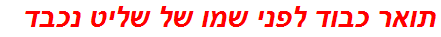 תואר כבוד לפני שמו של שליט נכבד