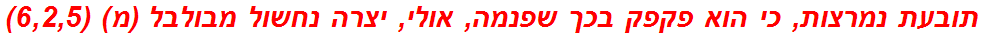 תובעת נמרצות, כי הוא פקפק בכך שפנמה, אולי, יצרה נחשול מבולבל (מ) (6,2,5)