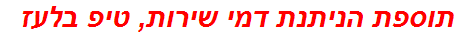 תוספת הניתנת דמי שירות, טיפ בלעז