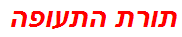 תורת התעופה