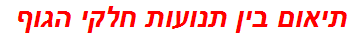 תיאום בין תנועות חלקי הגוף