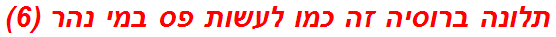 תלונה ברוסיה זה כמו לעשות פס במי נהר (6)