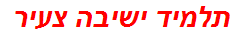 תלמיד ישיבה צעיר