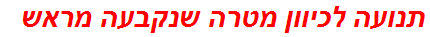 תנועה לכיוון מטרה שנקבעה מראש