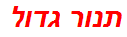 תנור גדול