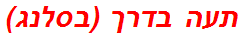 תעה בדרך (בסלנג)