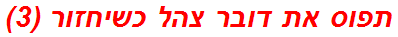 תפוס את דובר צהל כשיחזור (3)
