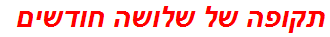 תקופה של שלושה חודשים