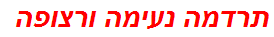 תרדמה נעימה ורצופה