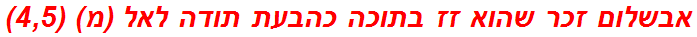 אבשלום זכר שהוא זז בתוכה כהבעת תודה לאל (מ) (4,5)