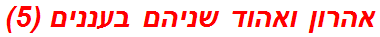 אהרון ואהוד שניהם בעננים (5)