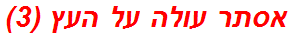 אסתר עולה על העץ (3)