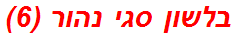 בלשון סגי נהור (6)