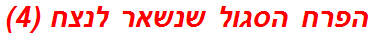 הפרח הסגול שנשאר לנצח (4)