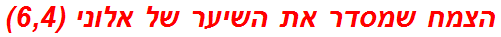 הצמח שמסדר את השיער של אלוני (6,4)