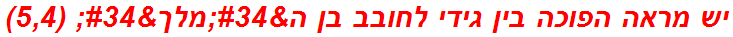 יש מראה הפוכה בין גידי לחובב בן ה"מלך" (5,4)