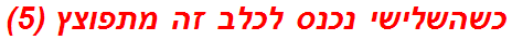 כשהשלישי נכנס לכלב זה מתפוצץ (5)