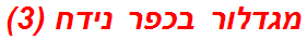 מגדלור בכפר נידח (3)