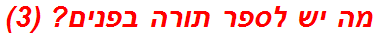מה יש לספר תורה בפנים? (3)