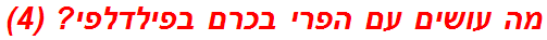 מה עושים עם הפרי בכרם בפילדלפי? (4)
