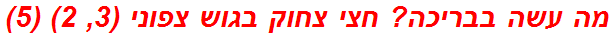 מה עשה בבריכה? חצי צחוק בגוש צפוני (3, 2) (5)