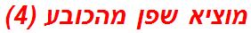 מוציא שפן מהכובע (4)