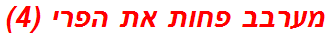 מערבב פחות את הפרי (4)