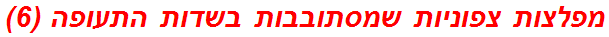 מפלצות צפוניות שמסתובבות בשדות התעופה (6)