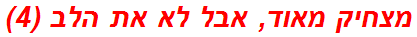 מצחיק מאוד, אבל לא את הלב (4)