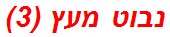 נבוט מעץ (3)
