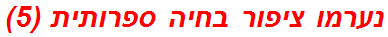 נערמו ציפור בחיה ספרותית (5)