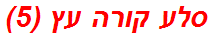סלע קורה עץ (5)