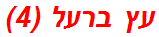 עץ ברעל (4)