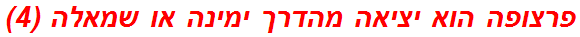 פרצופה הוא יציאה מהדרך ימינה או שמאלה (4)
