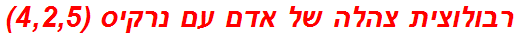 רבולוצית צהלה של אדם עם נרקיס (4,2,5)