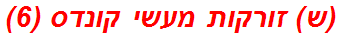 (ש) זורקות מעשי קונדס (6)