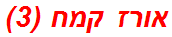 אורז קמח (3)