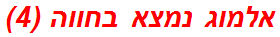 אלמוג נמצא בחווה (4)