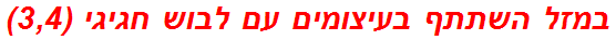 במזל השתתף בעיצומים עם לבוש חגיגי (3,4)