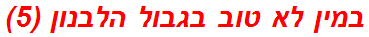 במין לא טוב בגבול הלבנון (5)