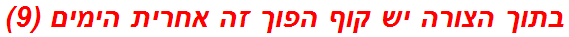 בתוך הצורה יש קוף הפוך זה אחרית הימים (9)