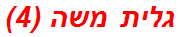 גלית משה (4)