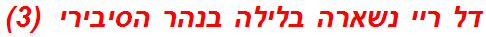דל ריי נשארה בלילה בנהר הסיבירי  (3)