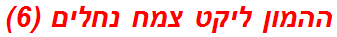 ההמון ליקט צמח נחלים (6)