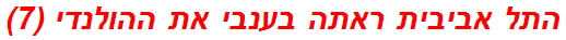 התל אביבית ראתה בענבי את ההולנדי (7)